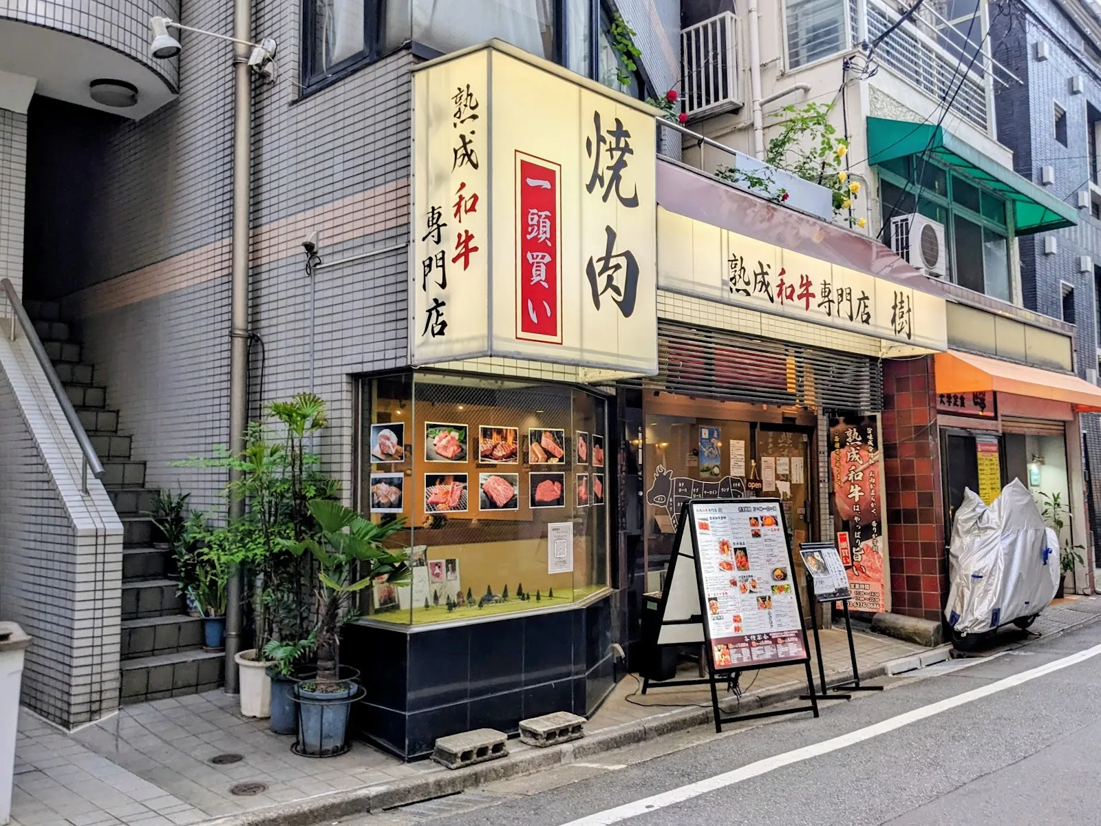 熟成和牛専門店 樹